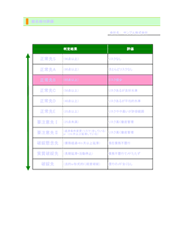 格付アップ診断ナビ 総合格付評価