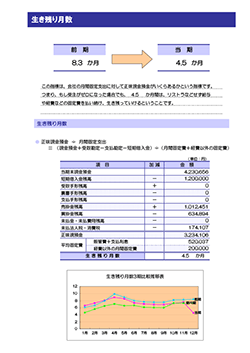 決算報告診断ナビ 生き残り月数