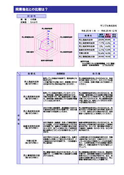 決算報告診断ナビ 同業他社との比較は？ 1